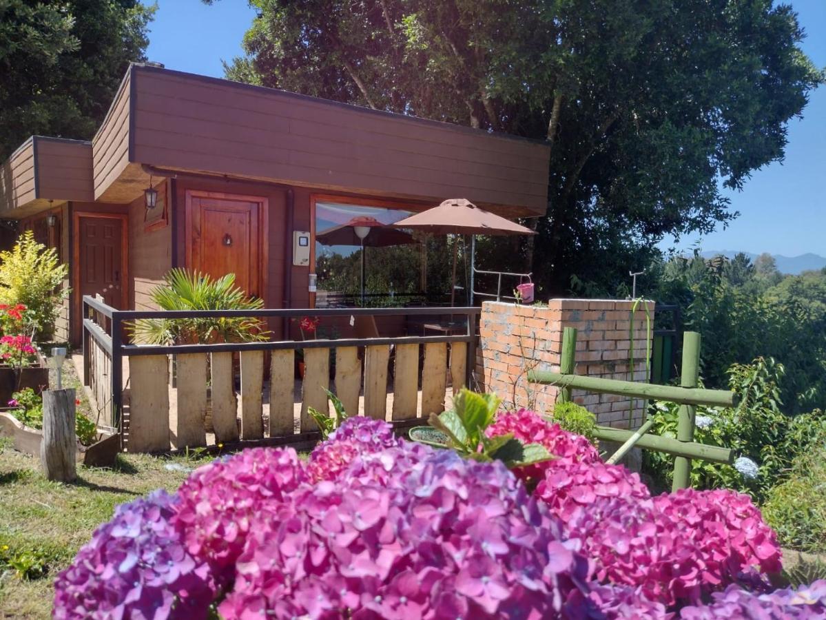 Cabanas Portal Del Rio Villarrica Eksteriør billede