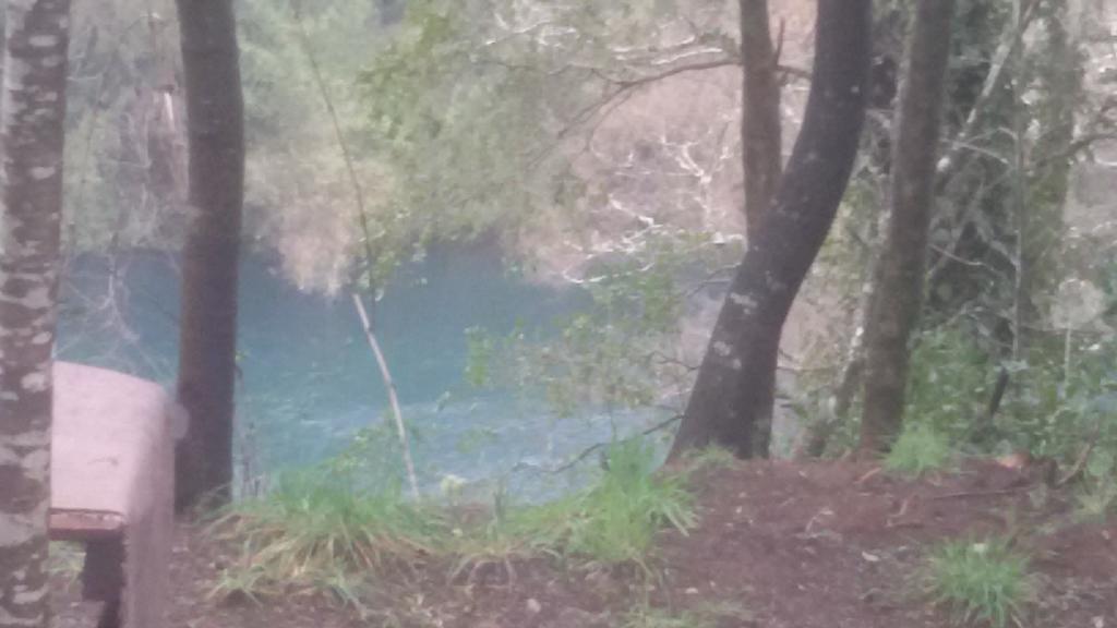 Cabanas Portal Del Rio Villarrica Eksteriør billede